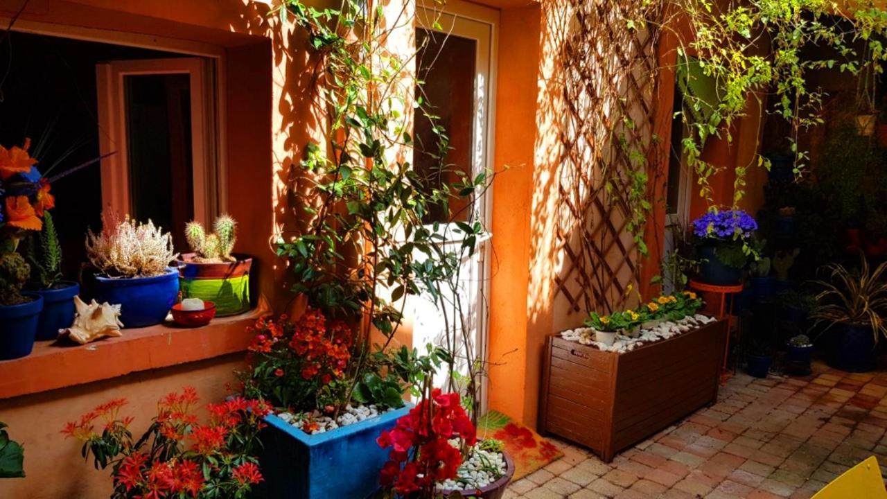 Petit Patio En Centre Ville Nîmes Kültér fotó